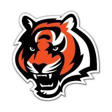 cincinnati bengals